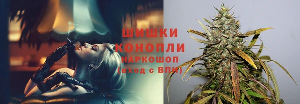ПСИЛОЦИБИНОВЫЕ ГРИБЫ Алзамай