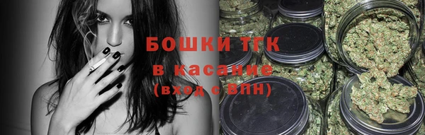 гашик Арсеньев